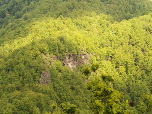 Foto Cetatea din Deal (c) Petru Goja